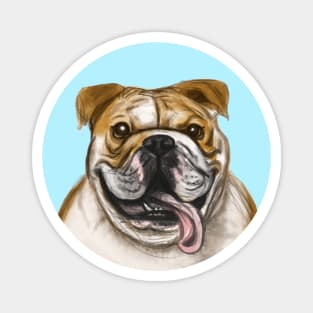 Smiling Bulldog Magnet